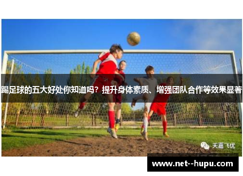踢足球的五大好处你知道吗？提升身体素质、增强团队合作等效果显著