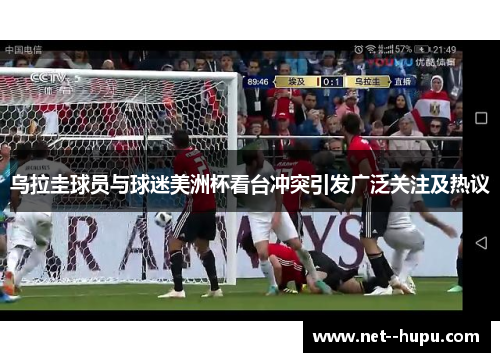 乌拉圭球员与球迷美洲杯看台冲突引发广泛关注及热议