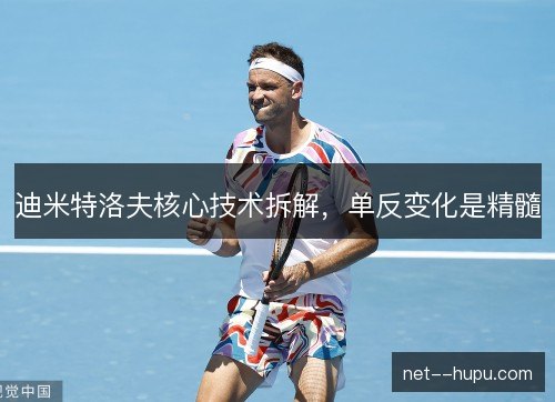 迪米特洛夫核心技术拆解,单反变化是精髓 迪米特洛夫核心技术拆解,单反变化是精髓